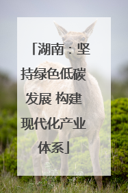 湖南：坚持绿色低碳发展 构建现代化产业体系