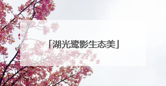 湖光鹭影生态美