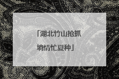 湖北竹山抢抓墒情忙夏种