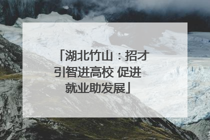 湖北竹山：招才引智进高校 促进就业助发展