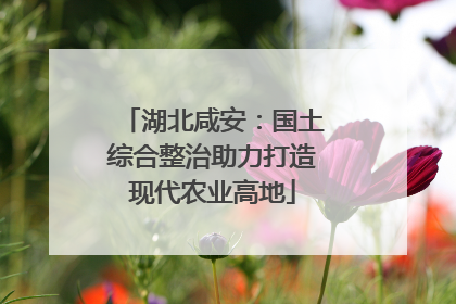 湖北咸安：国土综合整治助力打造现代农业高地