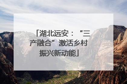 湖北远安：“三产融合”激活乡村振兴新动能