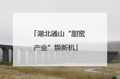 湖北通山“甜蜜产业”焕新机