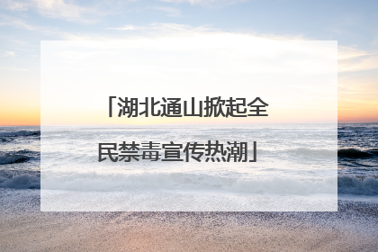 湖北通山掀起全民禁毒宣传热潮