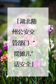 湖北随州公安交管部门“摆摊儿”话安全
