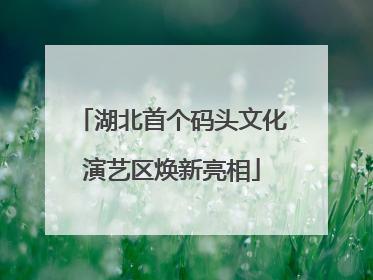 湖北首个码头文化演艺区焕新亮相