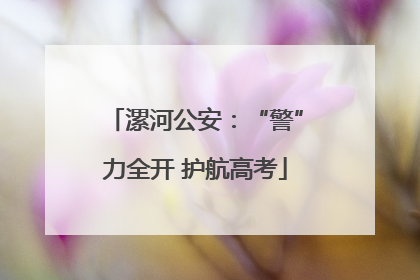 漯河公安：“警”力全开 护航高考