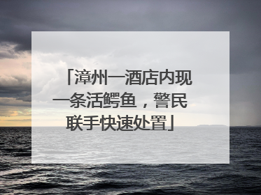 漳州一酒店内现一条活鳄鱼，警民联手快速处置