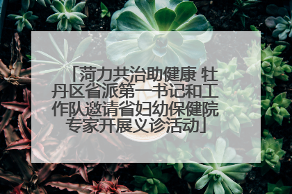菏力共治助健康 牡丹区省派第一书记和工作队邀请省妇幼保健院专家开展义诊活动