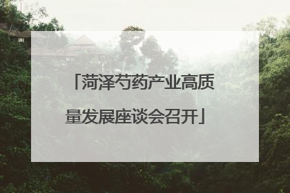 菏泽芍药产业高质量发展座谈会召开