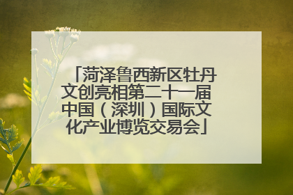 菏泽鲁西新区牡丹文创亮相第二十一届中国（深圳）国际文化产业博览交易会