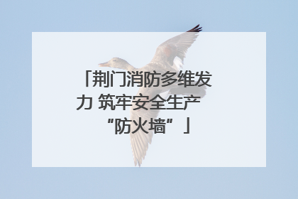 荆门消防多维发力 筑牢安全生产“防火墙”