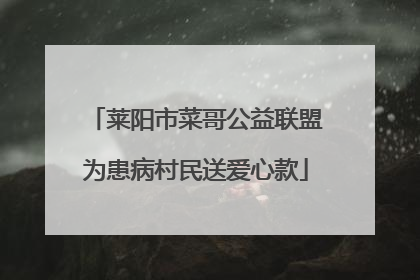 莱阳市菜哥公益联盟为患病村民送爱心款