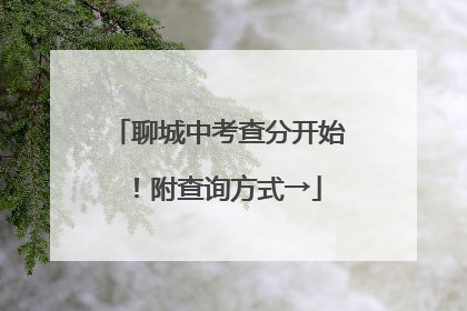 聊城中考查分开始！附查询方式→