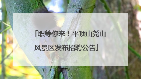 职等你来！平顶山尧山风景区发布招聘公告