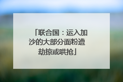联合国：运入加沙的大部分面粉遭劫掠或哄抢