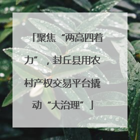 聚焦“两高四着力”，封丘县用农村产权交易平台撬动“大治理”