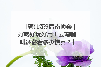 聚焦第9届南博会｜好喝好玩好用！云南咖啡还藏着多少惊喜？