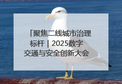 聚焦二线城市治理标杆｜2025数字交通与安全创新大会在保定隆重开幕