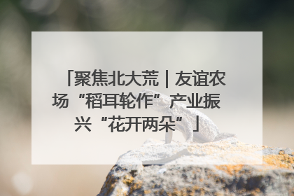 聚焦北大荒｜友谊农场“稻耳轮作”产业振兴“花开两朵”