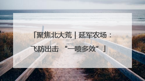 聚焦北大荒｜延军农场：飞防出击 “一喷多效”
