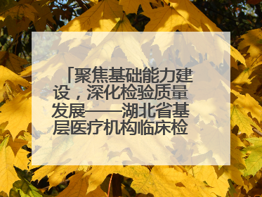 聚焦基础能力建设，深化检验质量发展——湖北省基层医疗机构临床检验质量控制培训班（孝感站）成功举办