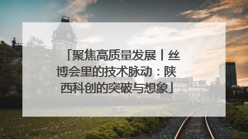 聚焦高质量发展丨丝博会里的技术脉动：陕西科创的突破与想象
