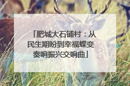 肥城大石铺村：从民生期盼到幸福蝶变奏响振兴交响曲