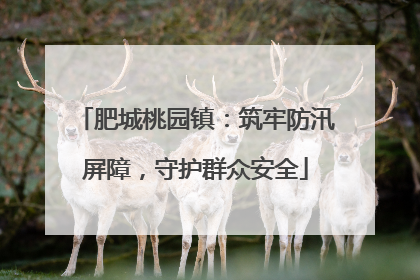 肥城桃园镇：筑牢防汛屏障，守护群众安全