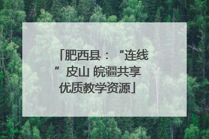 肥西县：“连线”皮山 皖疆共享优质教学资源
