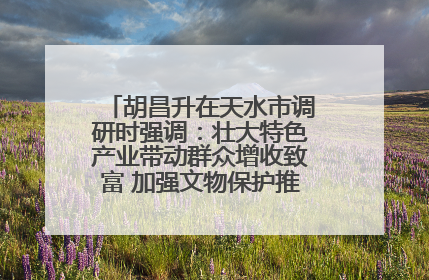 胡昌升在天水市调研时强调：壮大特色产业带动群众增收致富 加强文物保护推动文化创新发展