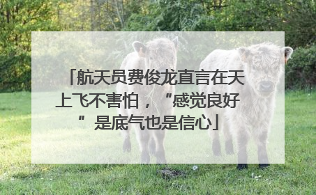 航天员费俊龙直言在天上飞不害怕，“感觉良好”是底气也是信心
