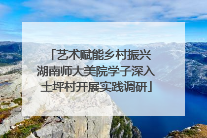 艺术赋能乡村振兴 湖南师大美院学子深入土坪村开展实践调研