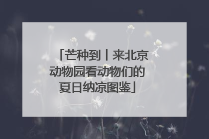 芒种到丨来北京动物园看动物们的夏日纳凉图鉴