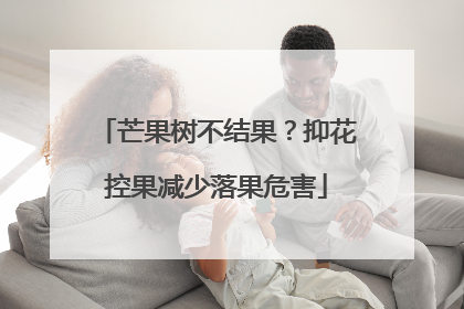 芒果树不结果？抑花控果减少落果危害