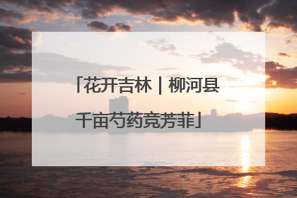 花开吉林｜柳河县千亩芍药竞芳菲