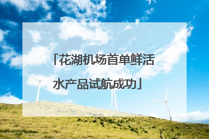 花湖机场首单鲜活水产品试航成功