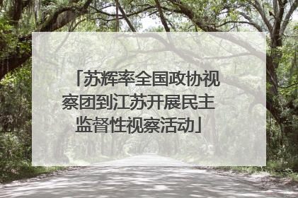 苏辉率全国政协视察团到江苏开展民主监督性视察活动