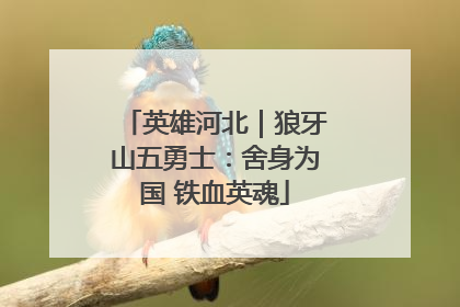 英雄河北｜狼牙山五勇士：舍身为国 铁血英魂