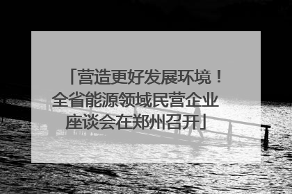 营造更好发展环境！全省能源领域民营企业座谈会在郑州召开