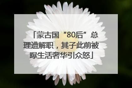 蒙古国“80后”总理遭解职，其子此前被曝生活奢华引众怒