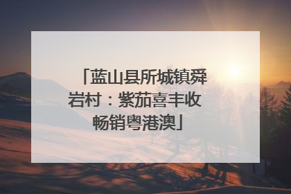 蓝山县所城镇舜岩村：紫茄喜丰收 畅销粤港澳