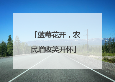 蓝莓花开，农民增收笑开怀