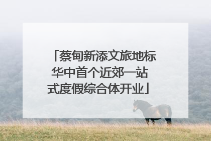蔡甸新添文旅地标 华中首个近郊一站式度假综合体开业