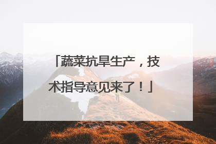 蔬菜抗旱生产，技术指导意见来了！
