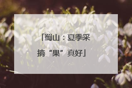 蜀山：夏季采摘“果”真好