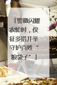 警徽闪耀农忙时，仪征多措并举守护百姓“粮袋子”