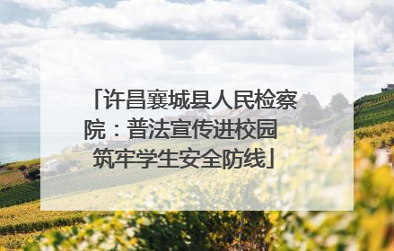 许昌襄城县人民检察院：普法宣传进校园 筑牢学生安全防线