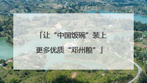 让“中国饭碗”装上更多优质“邓州粮”