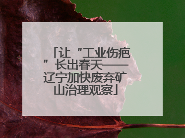 让“工业伤疤”长出春天——辽宁加快废弃矿山治理观察